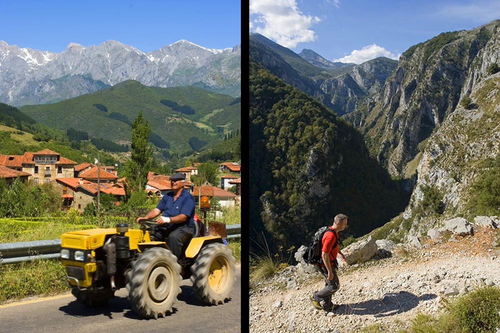 Farming and Walking in Treviso